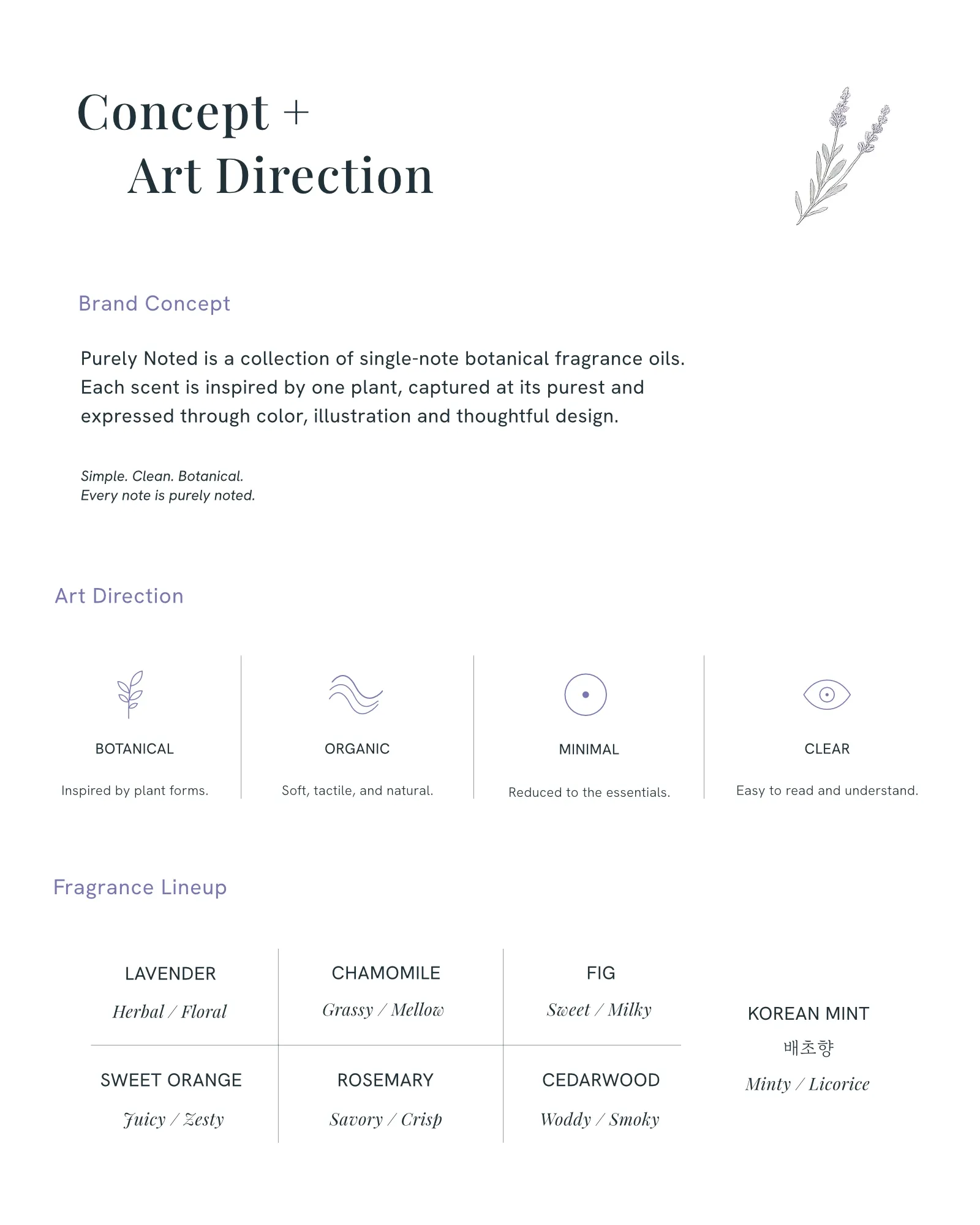 Purely Noted concept and art direction presentation.
